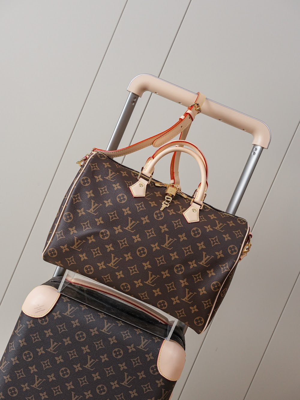 Dragons Bags LVn Luxury Bag --80020