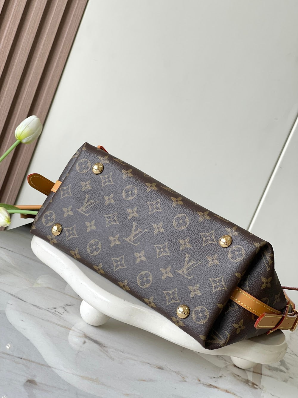 Dragons Bags LVn Luxury Bag --79178
