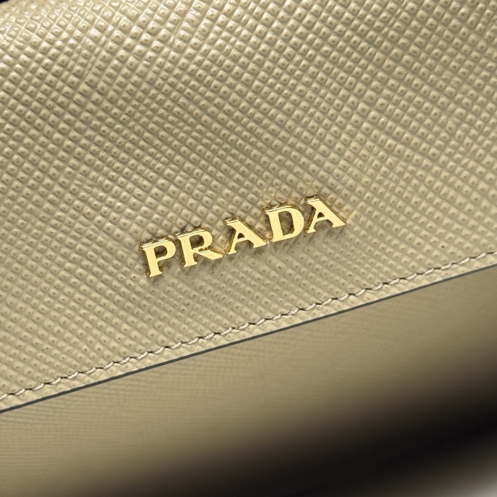 Dragons Bags Pradn Luxury Bag --102312
