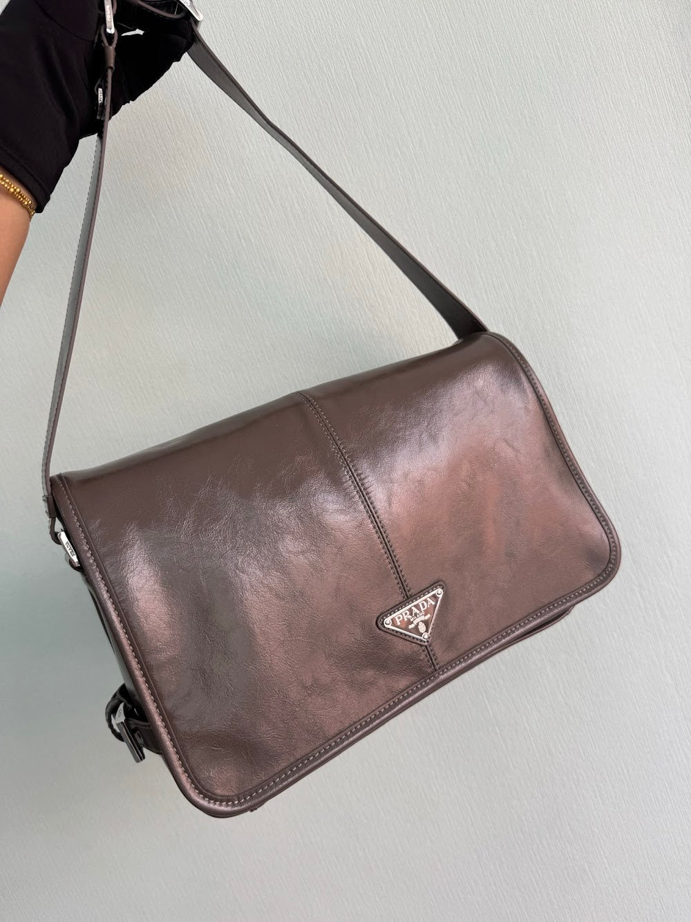 Dragons Bags Pradn Luxury Bag --102951