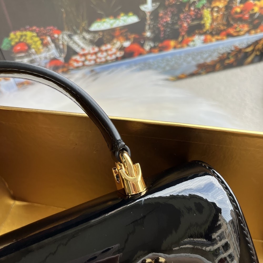 Dragons Bags DGn Luxury Bag --93794