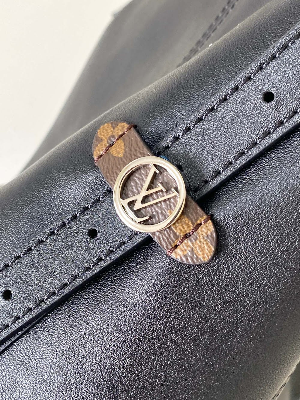 Dragons Bags LVn Luxury Bag --80366