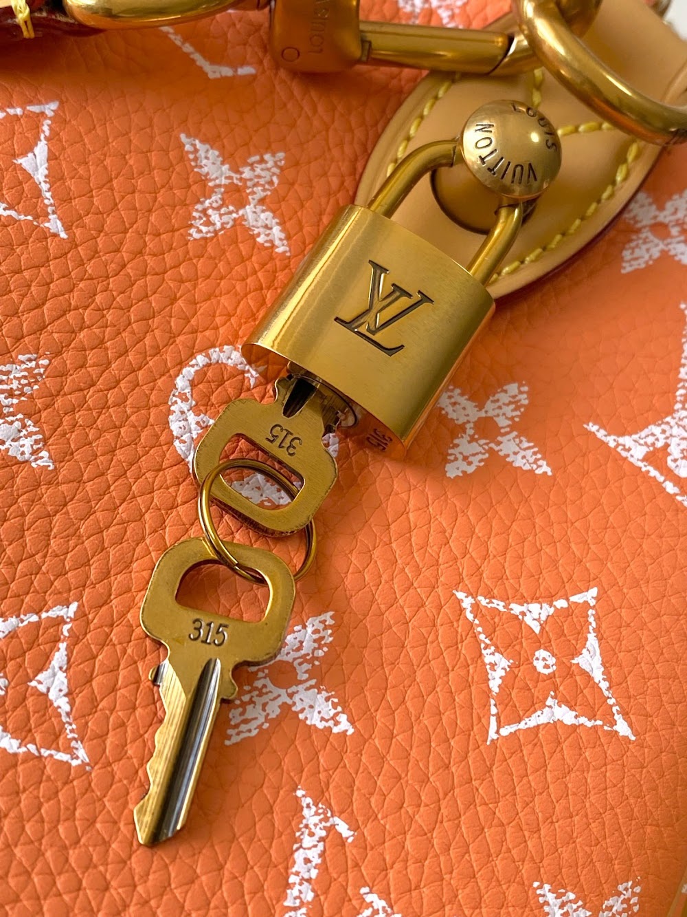 Dragons Bags ln Luxury Bag --97197