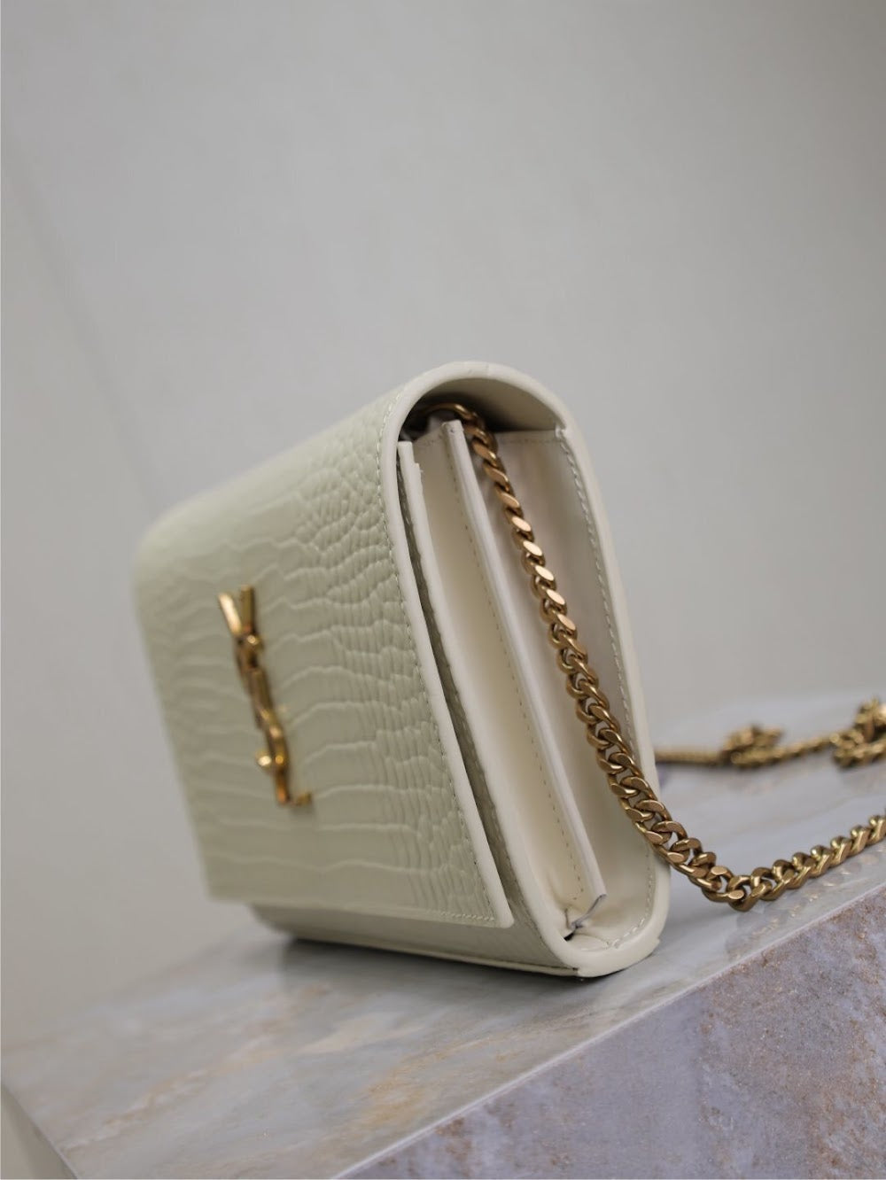 Dragons Bags YSLn Luxury Bag --119660