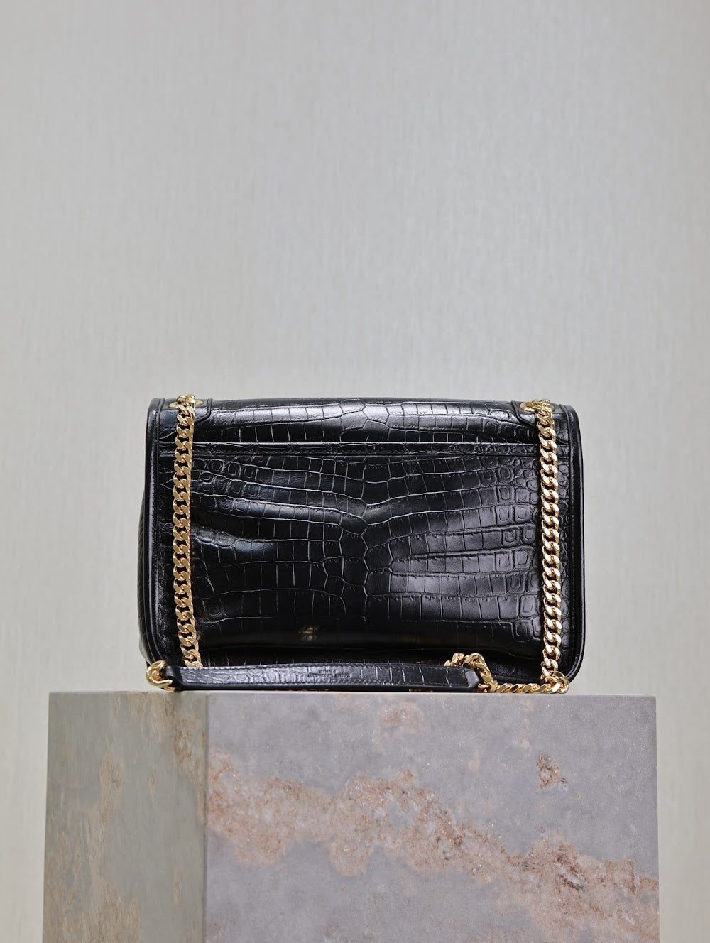 Dragons Bags YSLn Luxury Bag --119326