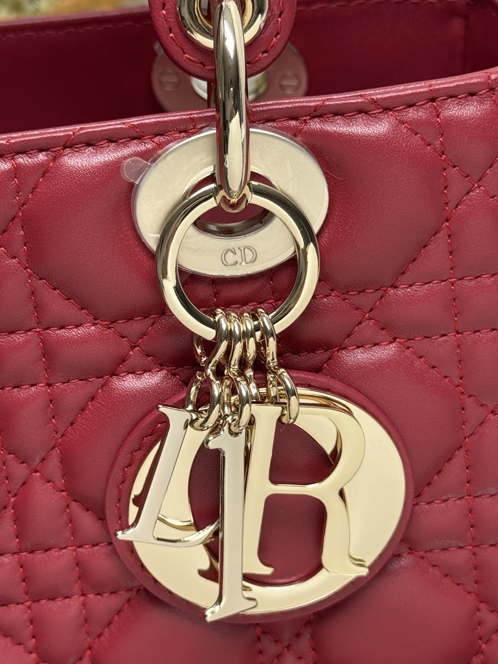 Dragons BagsDiorn Luxury Bag --116015