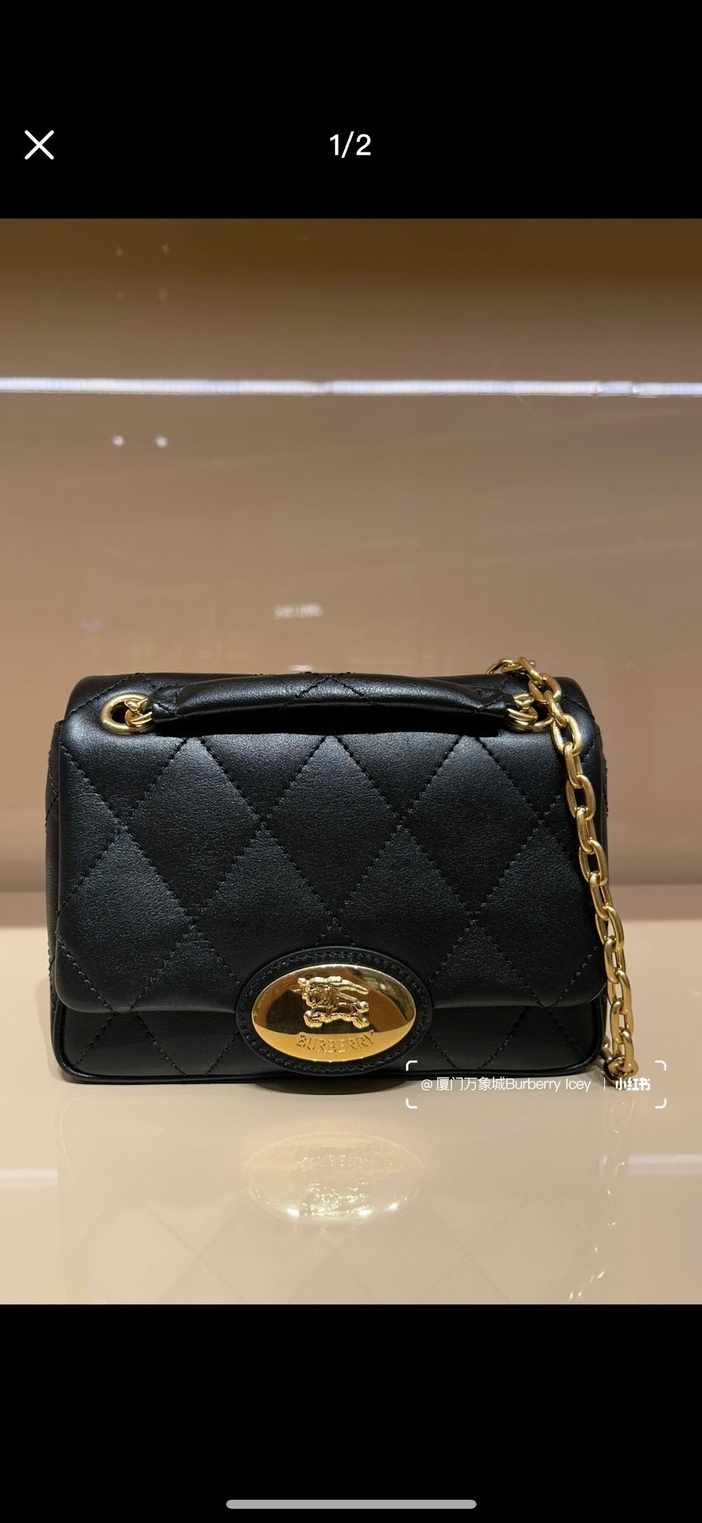 Dragons Bags Burberryn Luxury Bag --92328