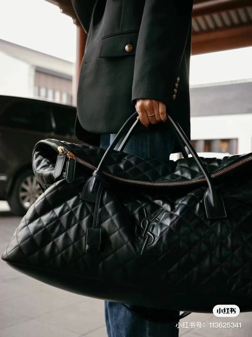 Dragons Bags YSLn Luxury Bag --120208