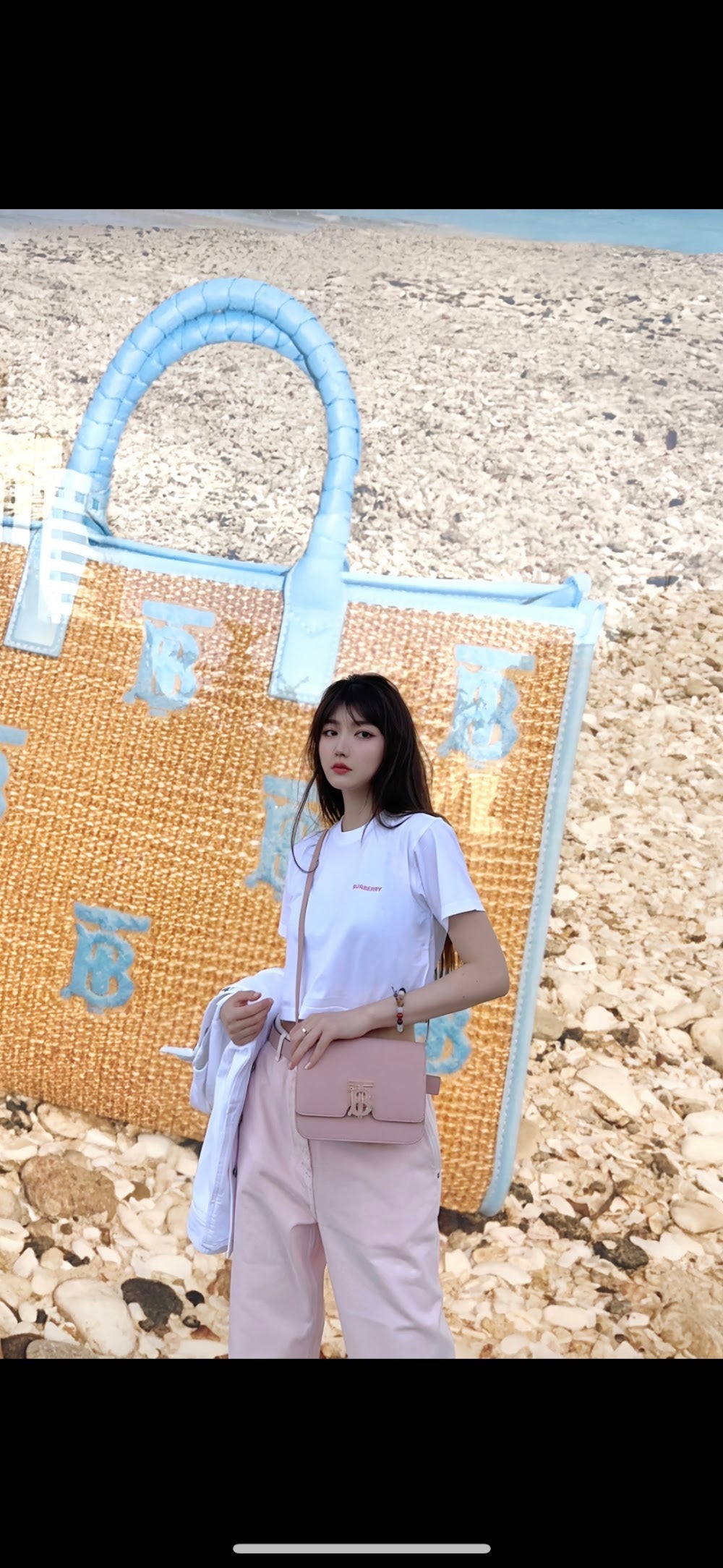 Dragons Bags Burberryn Luxury Bag --92695