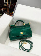 new-elite-designer-bags-nm6786