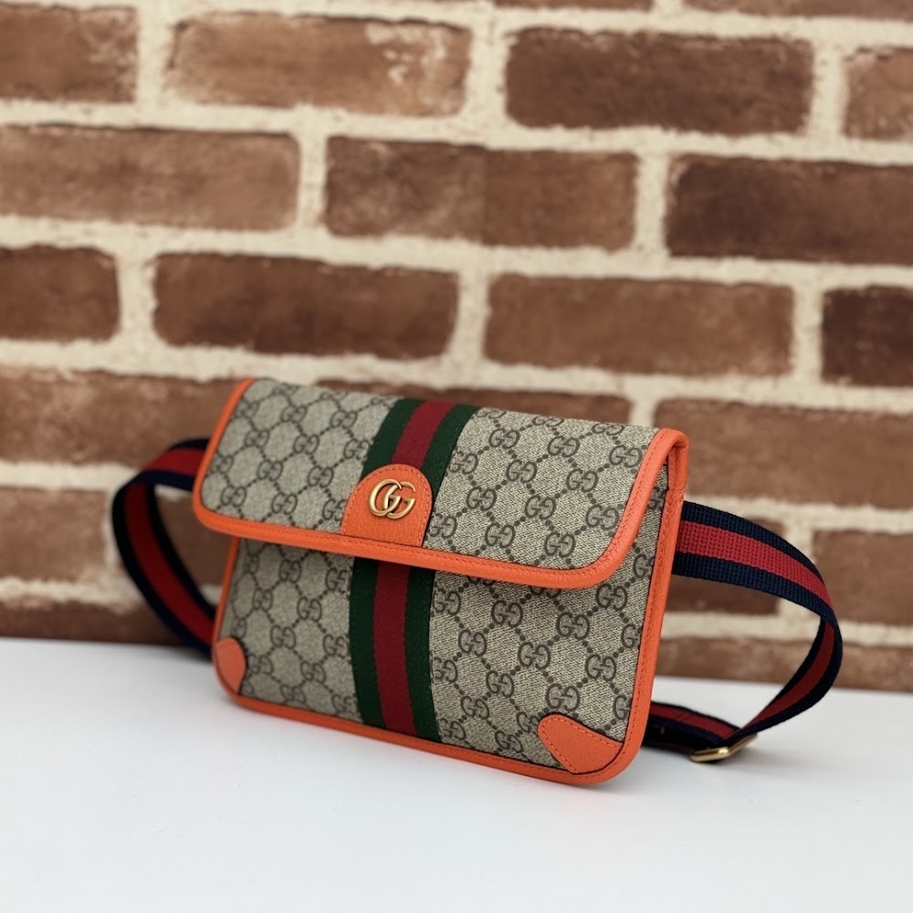 Dragons Bags Guccin Luxury Bag --94238