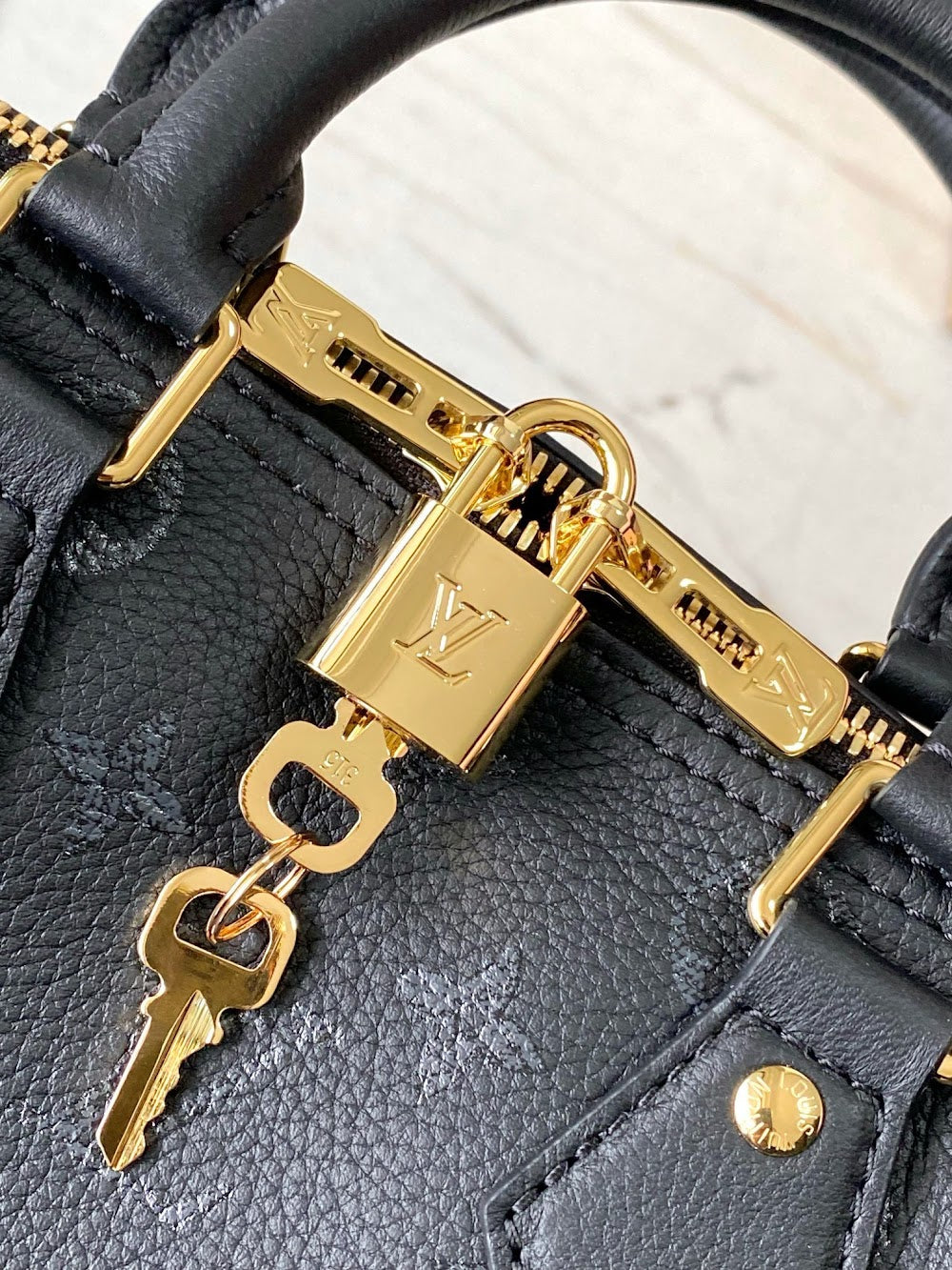 Dragons Bags ln Luxury Bag --96048