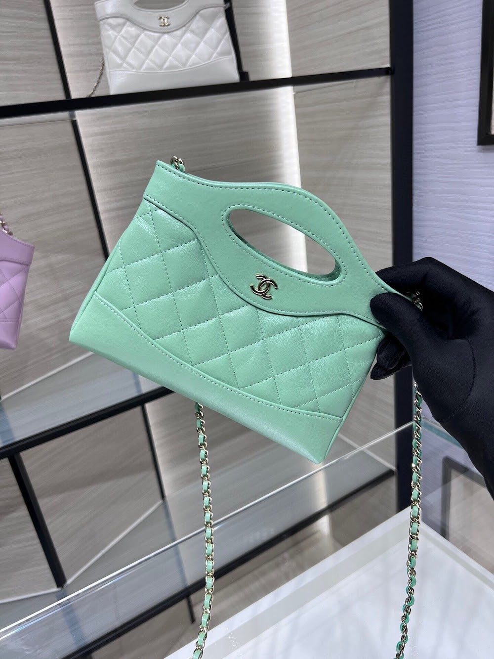 new-designer-premium-bags-nm10327