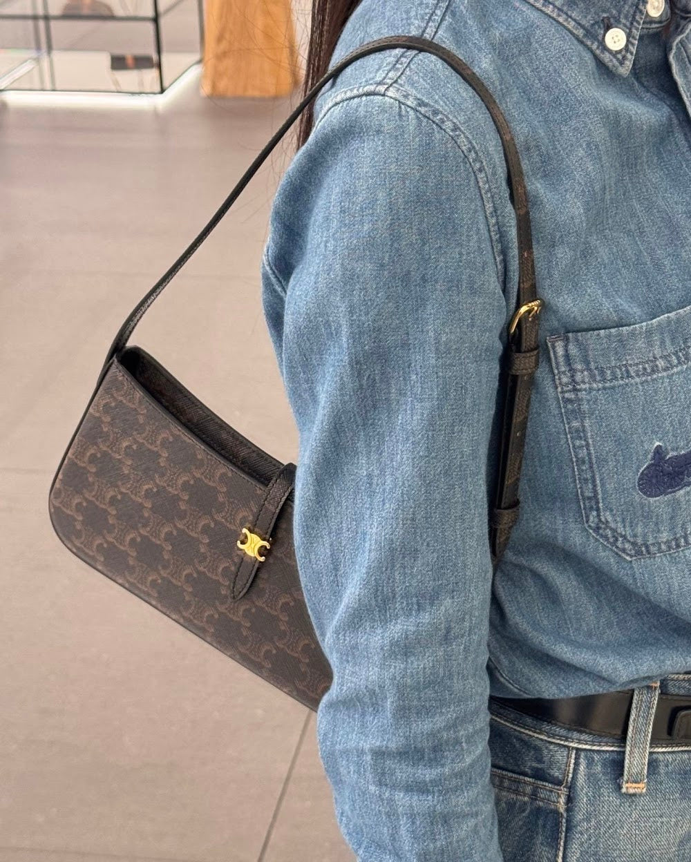Dragons Bags Celine Luxury Bag --112546