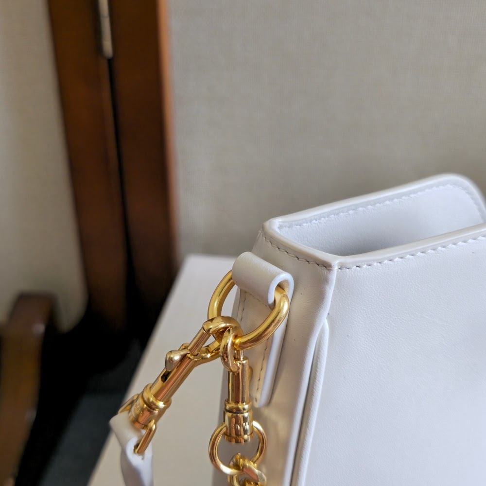 Dragons Bags Celine Luxury Bag --112205