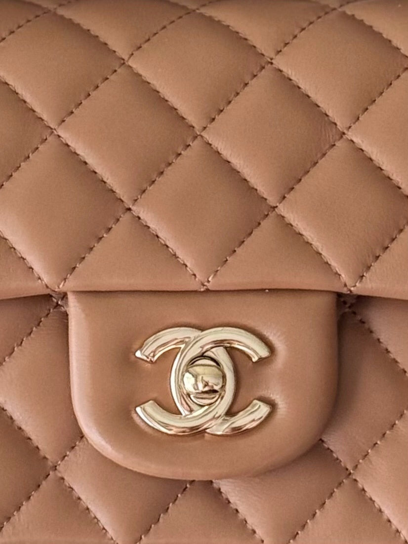 Dragons Bags CHn Luxury Bag --113024