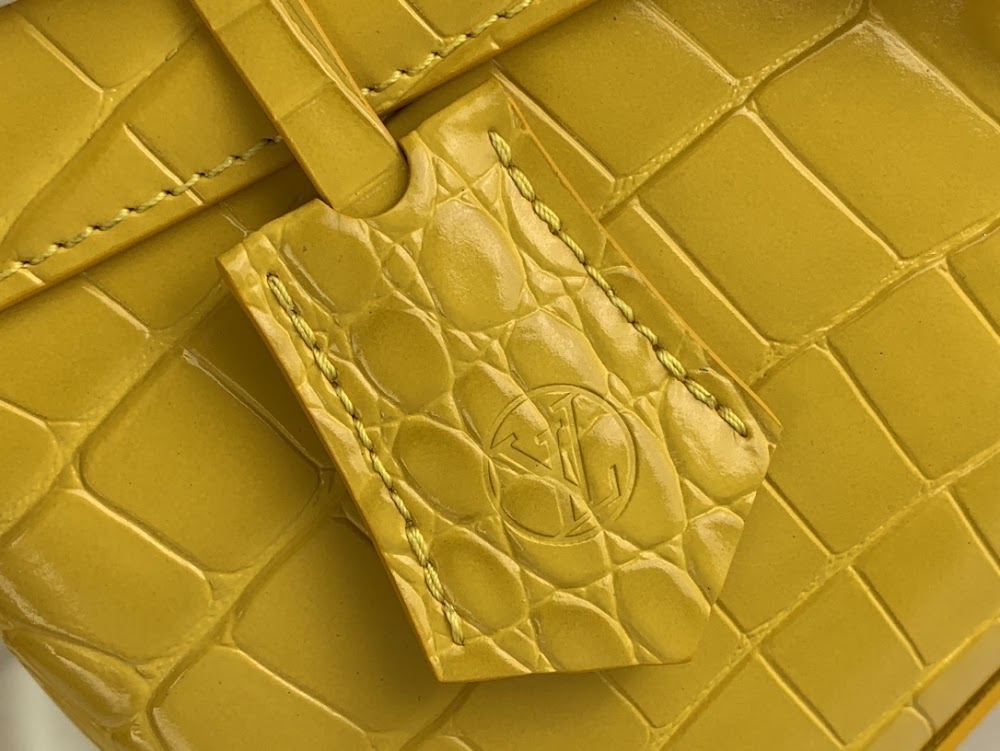 Dragons Bags ln Luxury Bag --62651