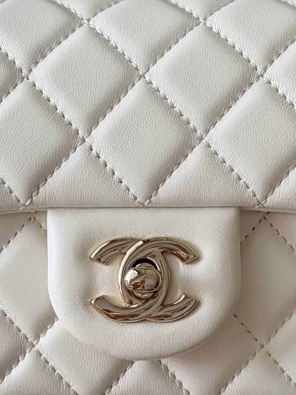 Dragons BagsCHn Luxury Bag --114064