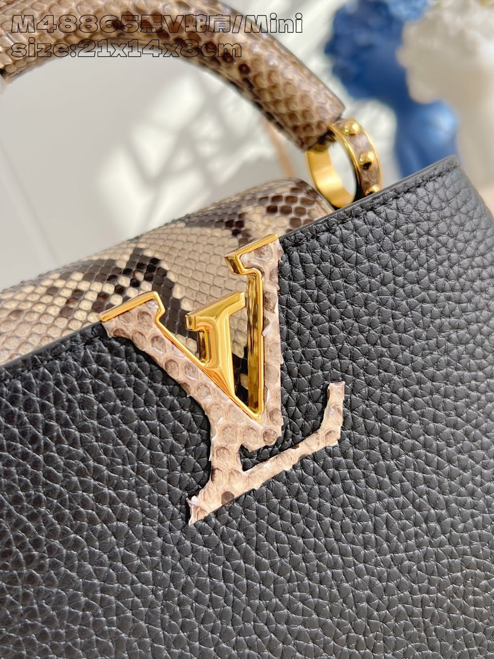 Dragons Bags ln Luxury Bag --95677