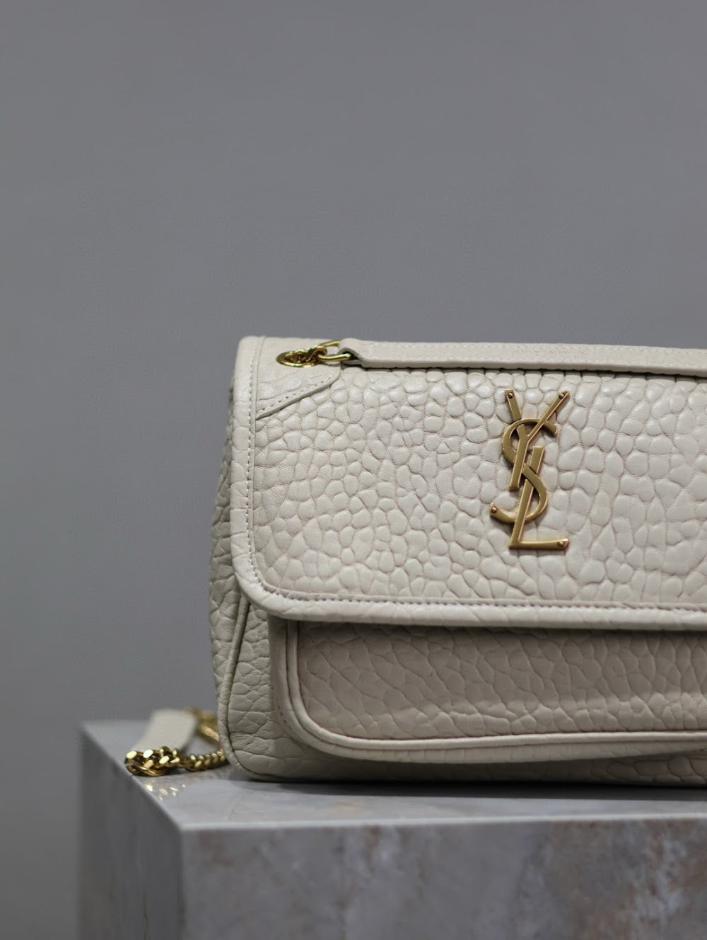 Dragons Bags YSLn Luxury Bag --119697