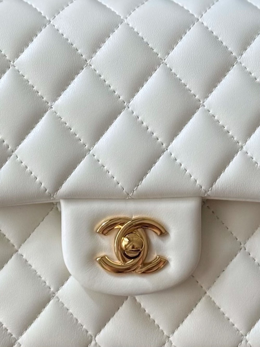Dragons Bags CHn Luxury Bag --112955