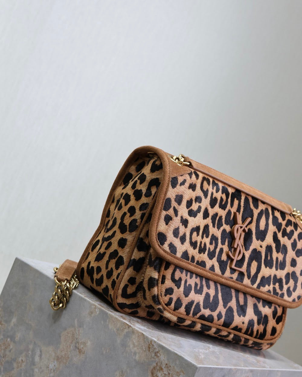 Dragons Bags YSLn Luxury Bag --119649