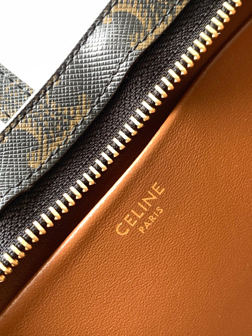 Dragons Bags Celine Luxury Bag --112197