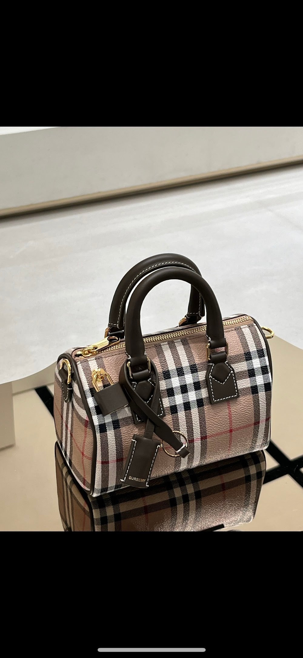 Dragons Bags Burberryn Luxury Bag --92032