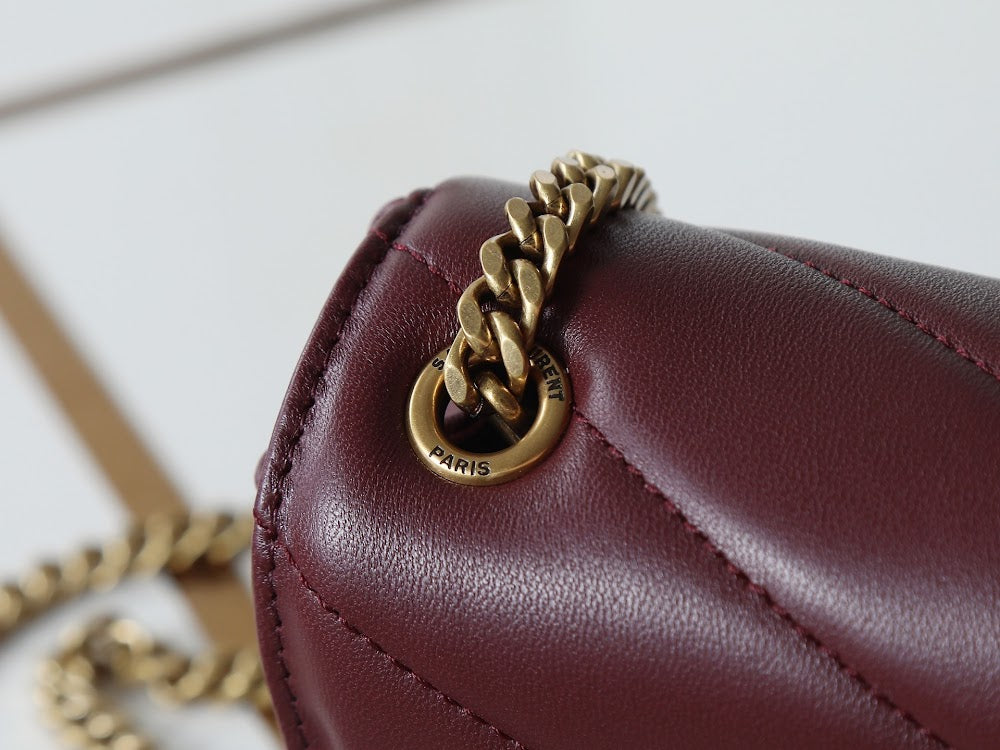 Dragons Bags YSLn Luxury Bag --120037