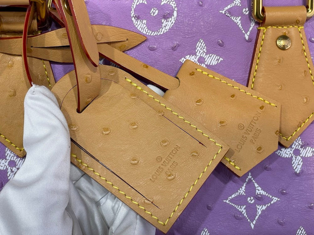 Dragons Bags ln Luxury Bag --95548