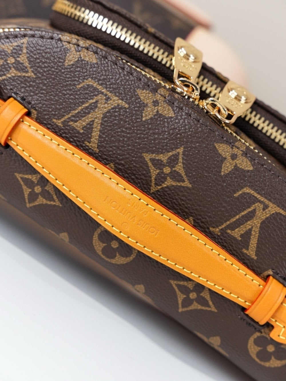 Dragons Bags ln Luxury Bag --71592