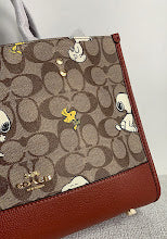 new-luxury-designer-bags-nm6586