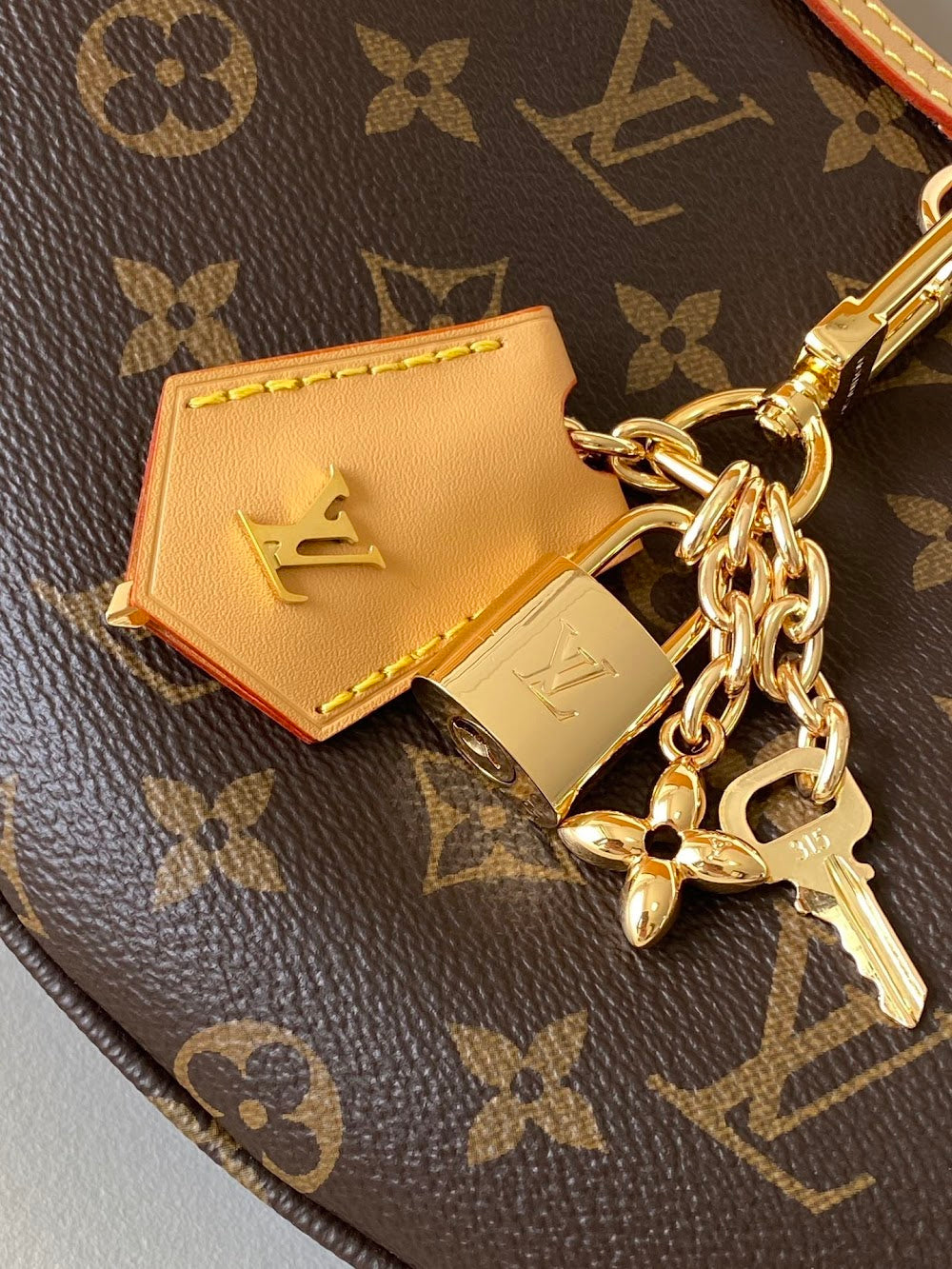 Dragons Bags ln Luxury Bag --81851