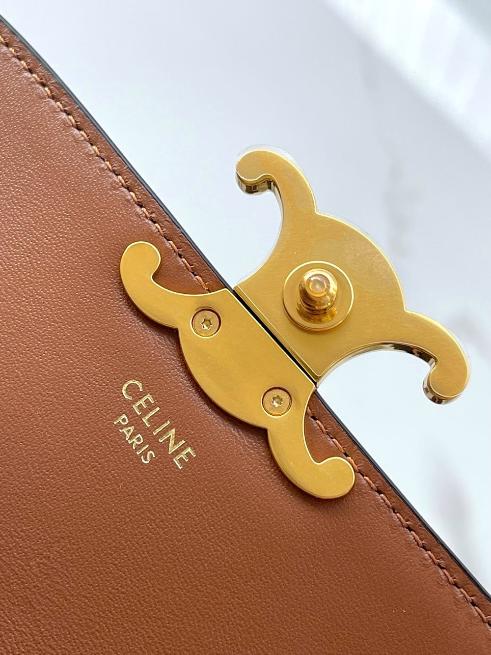 Dragons Bags Celine Luxury Bag --112312