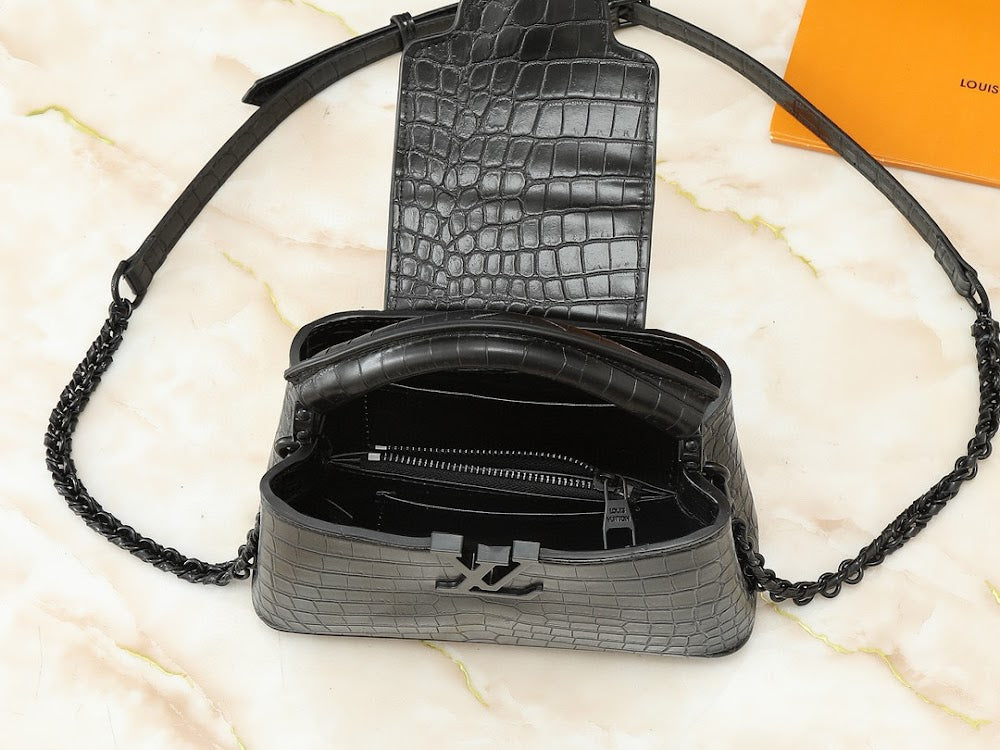 Dragons Bags LVn Luxury Bag --80890