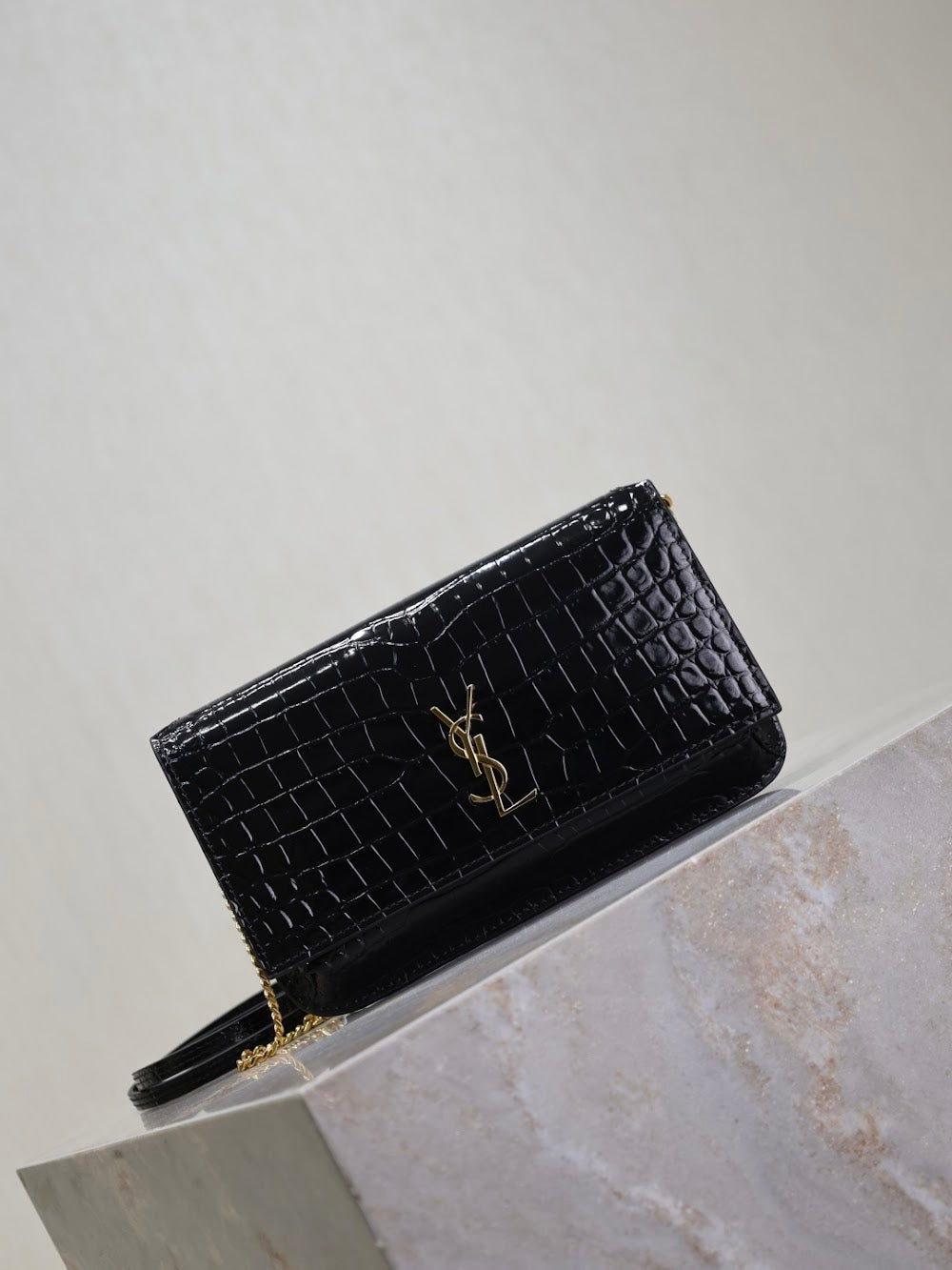 Dragons Bags YSLn Luxury Bag --120476