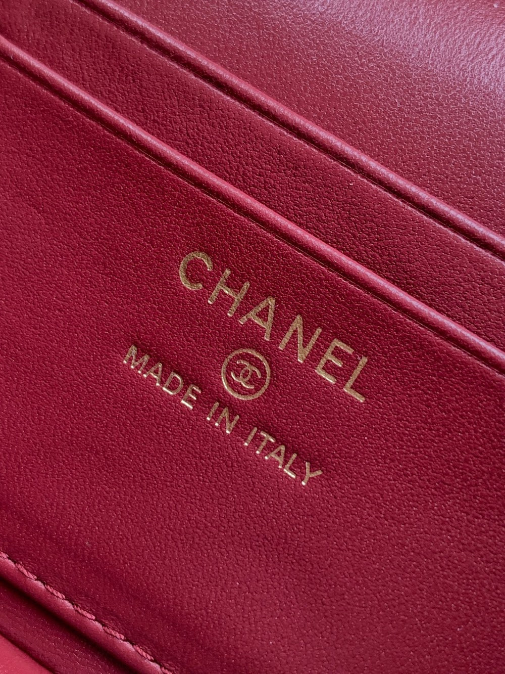 Dragons Bags CHn Luxury Bag --112945