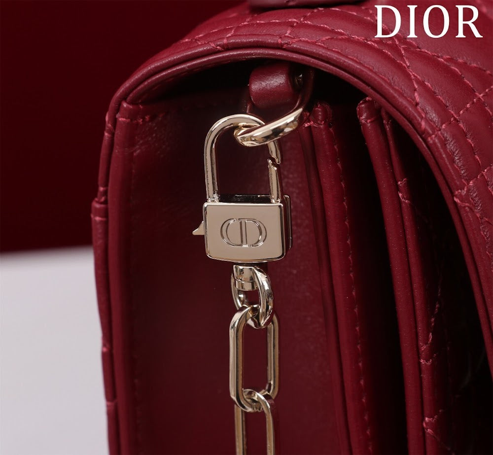 Dragons BagsDiorn Luxury Bag --116298