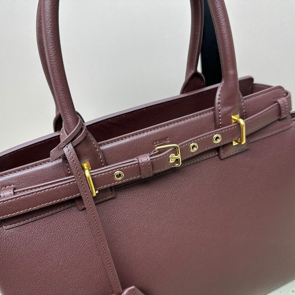 Dragons Bags Celine Luxury Bag --112493