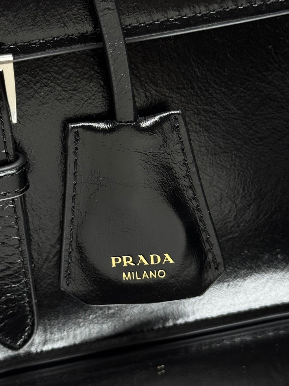 Dragons Bags Pradn Luxury Bag --101751
