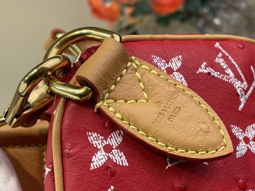 Dragons Bags ln Luxury Bag --95544