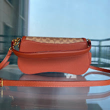 new-luxury-designer-bags-nm6415