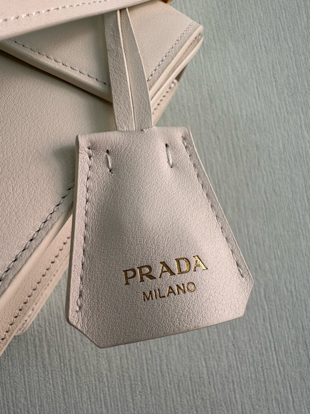 Dragons Bags Pradn Luxury Bag --102544
