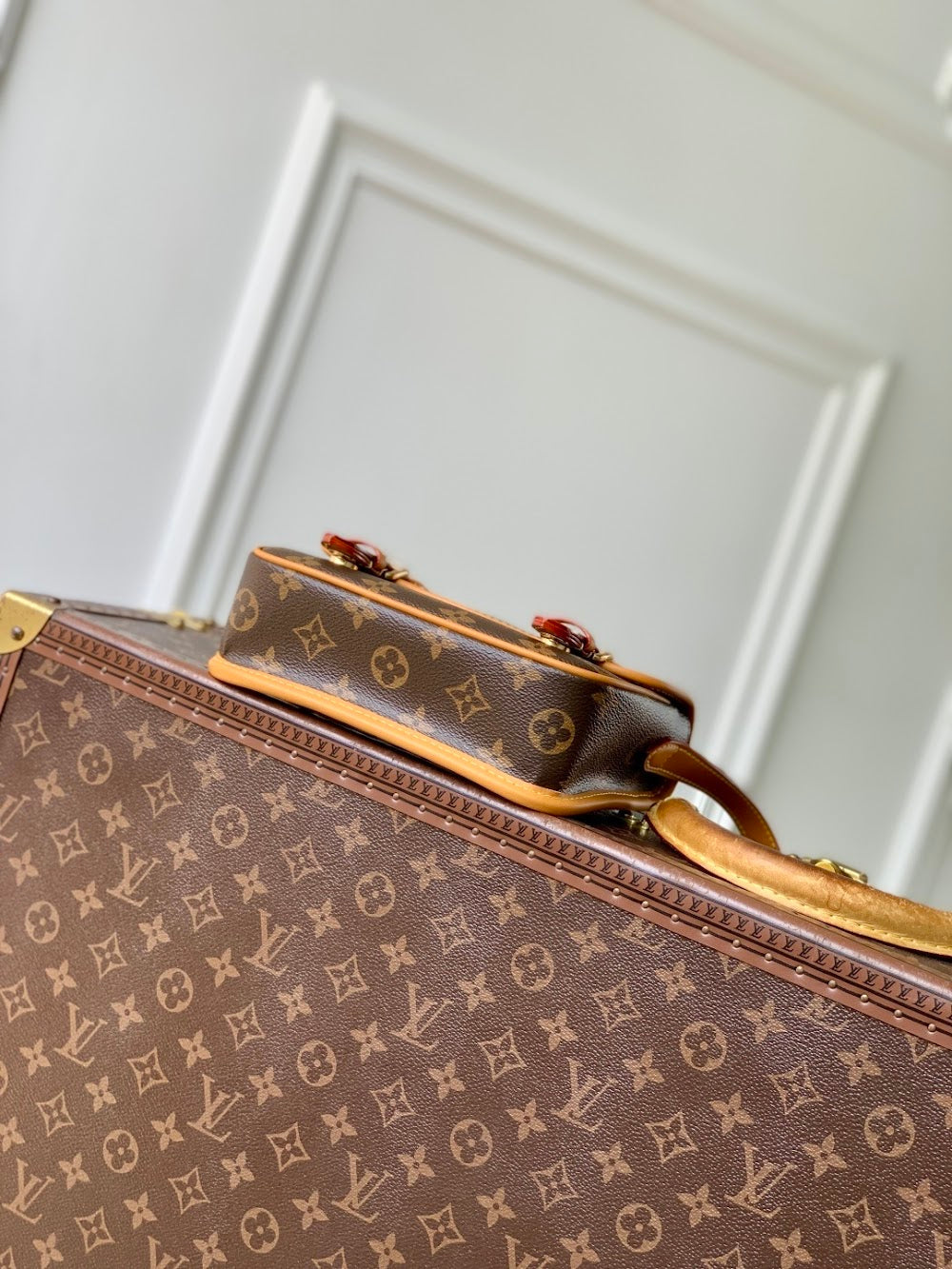 Dragons Bags ln Luxury Bag --97008