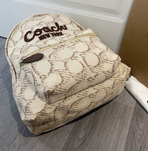 new-luxury-designer-bags-nm6300