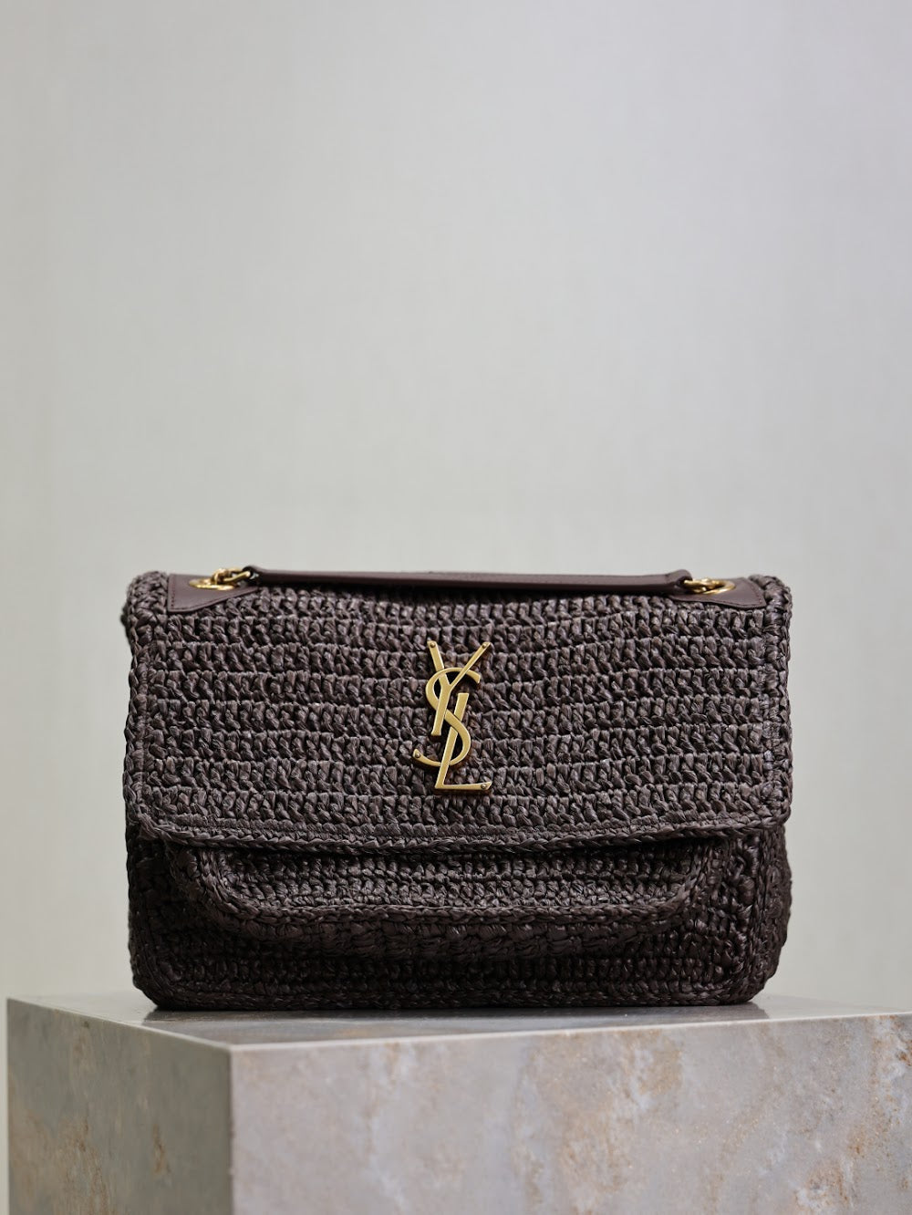 Dragons Bags YSLn Luxury Bag --119724