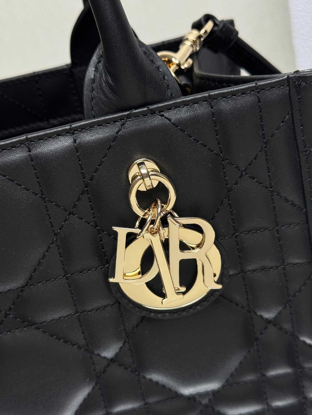 Dragons BagsDiorn Luxury Bag --115249