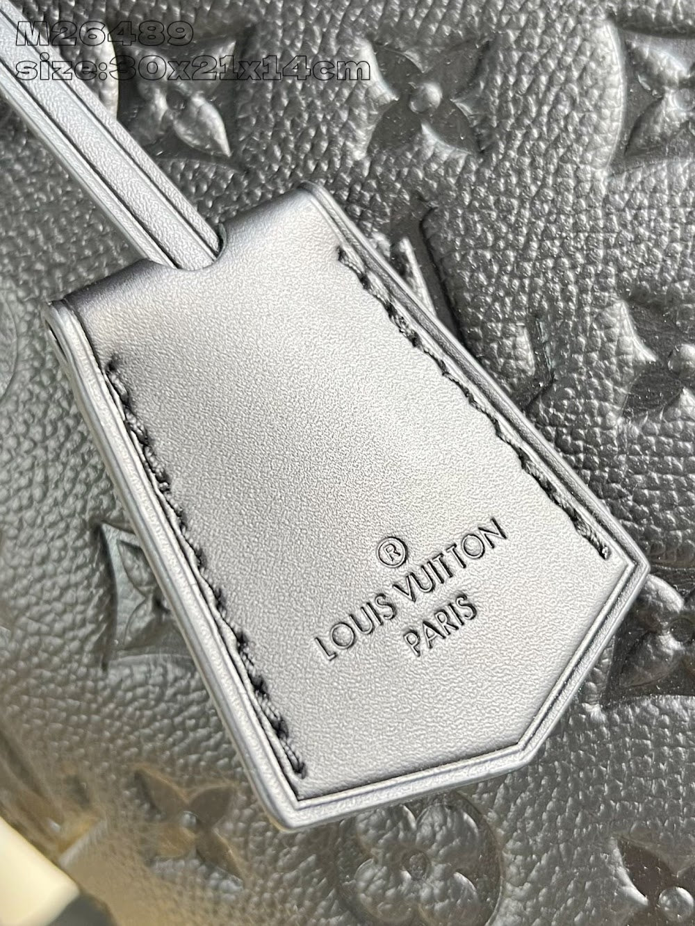 Dragons Bags ln Luxury Bag --97354