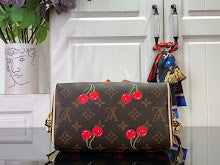 new-designer-premium-bags-nm1208