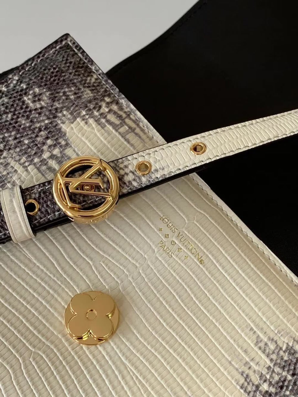 Dragons Bags ln Luxury Bag --59506